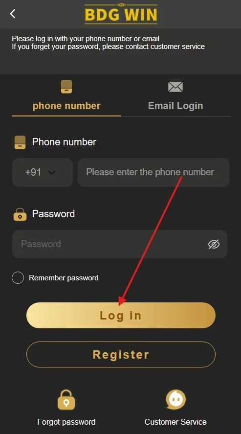 click the Login button